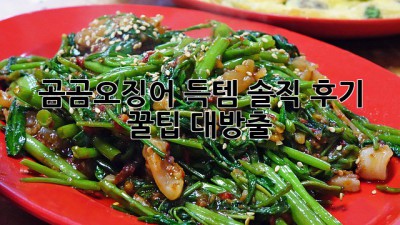 🦑 곰곰오징어 득템! 솔직 후기 & 꿀팁 대방출 🍯 #
