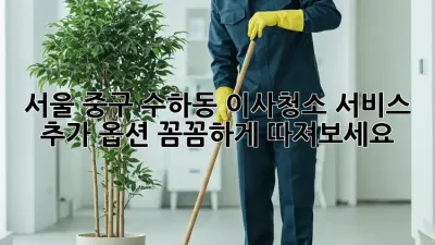 서울 중구 수하동 이사/청소 서비스 추가 옵션: 꼼꼼하게 따져보세요!